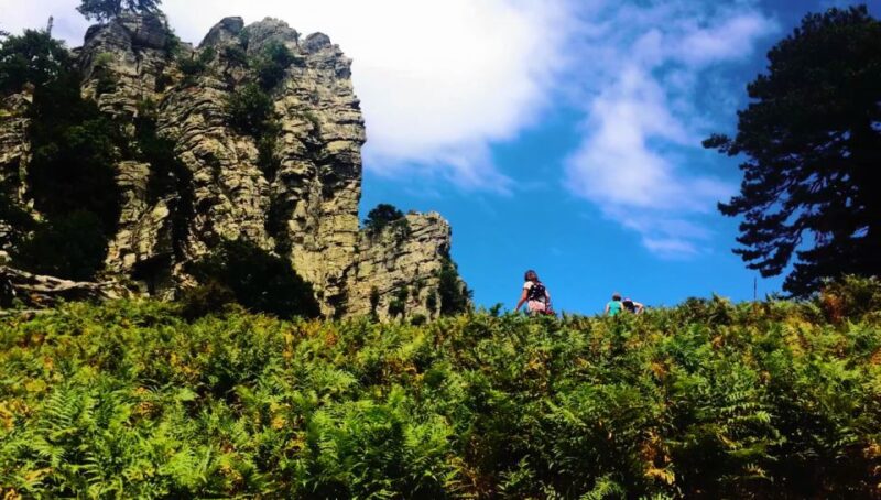 Jeep Safari in Thassos Mountain - Pricing and Inclusions