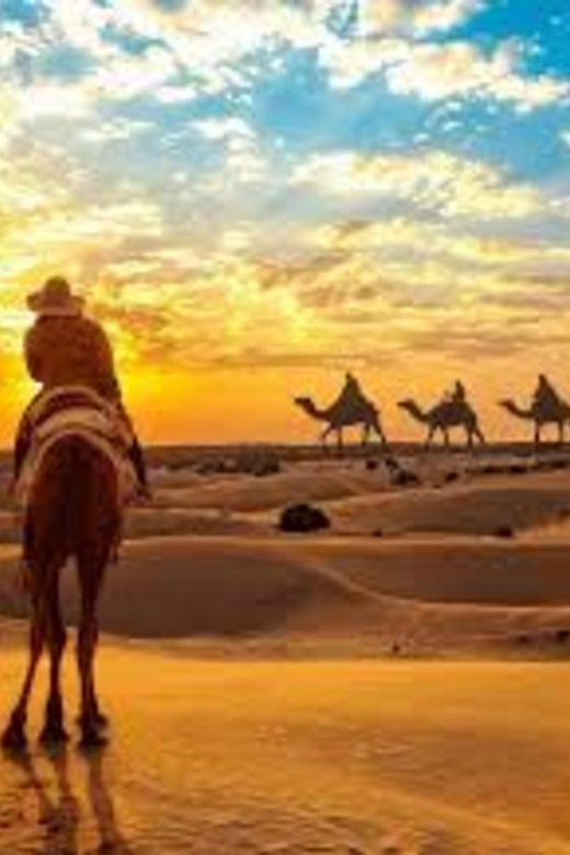 JEEP SAFARi !n 0sian DeSERT - Key Points
