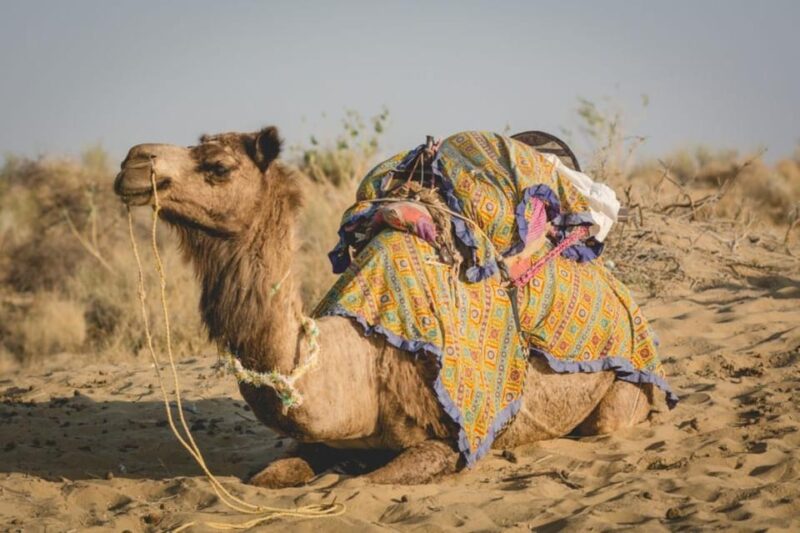 JEEP SAFARi !n 0sian DeSERT - Booking and Payment Info