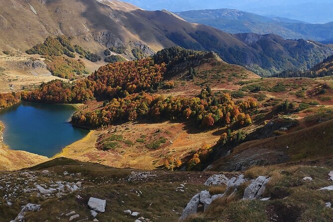 Jeep Safari National Park Biogradska Gora - Panoramic Viewpoints and Pescia Lake