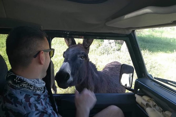 Jeep Safari to Akamas National Park: Avakas Gorge Tour From Paphos - Edro Shipwreck