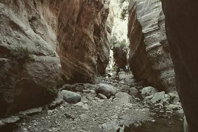 Jeep Safari to Akamas National Park: Avakas Gorge Tour From Paphos - Local Winery Tasting