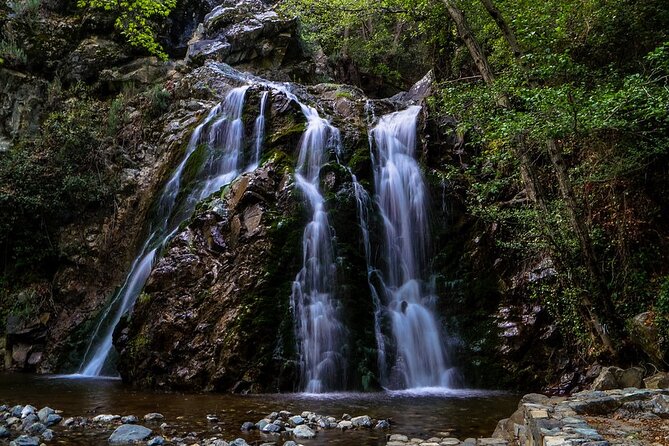 Jeep Safari to Troodos Mountains : Nature, Villages and Blue Wine - Traveler Reviews and Feedback