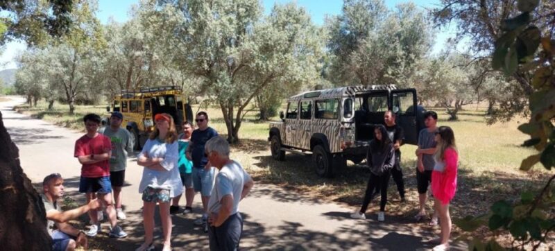 Jeep Safari Tour- Full Day - Experience Highlights