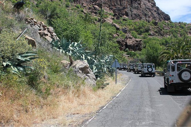 Jeep Tour 4x4 in Gran Canaria - Aloe Vera Farm Visits