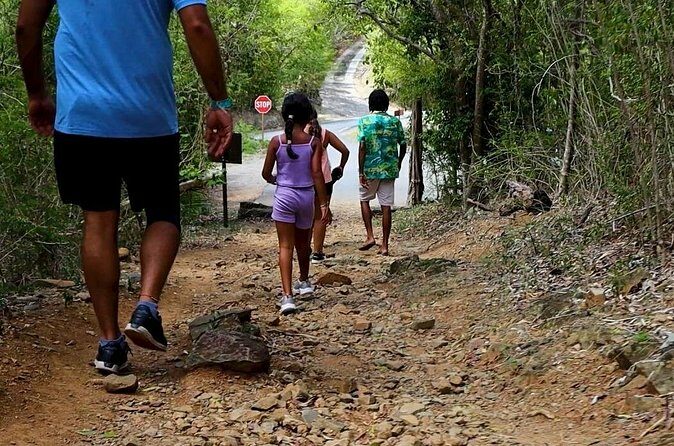 Jeep Tour and Hiking Adventure A Thrilling Experience - Why Choose This Tour?