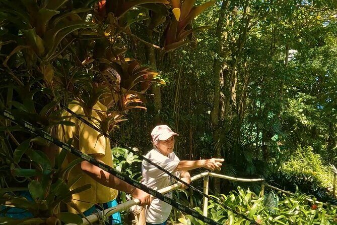 Jeep Tour and Hiking Adventure A Thrilling Experience - Final Thoughts: Is It Worth It?