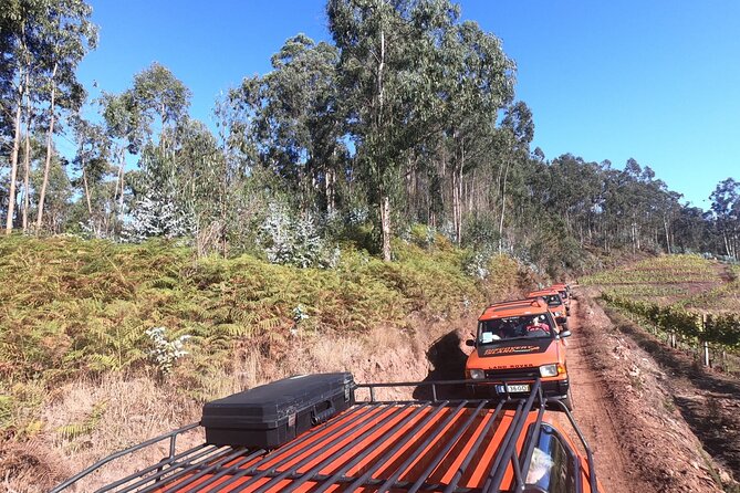 Jeep Tour Câmara De Lobos - Half Day - Frequently Asked Questions