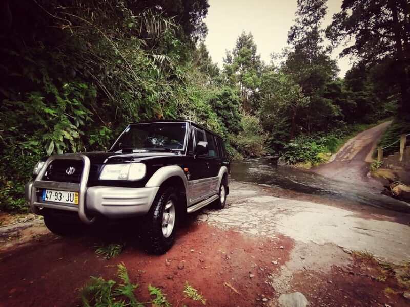 Jeep Tour Half Day Fire Lake, Pineapple & Tea - Participant Information