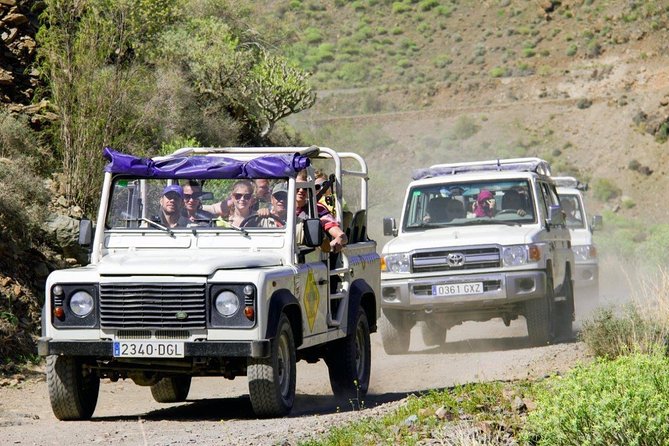 Jeep Tour in Gran Canaria With Optional Camel Ride - Off-Road Experiences