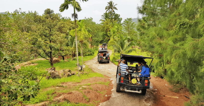 Jeep Tour Koh Samui Jungle Safari Full Day Adventure - Key Points
