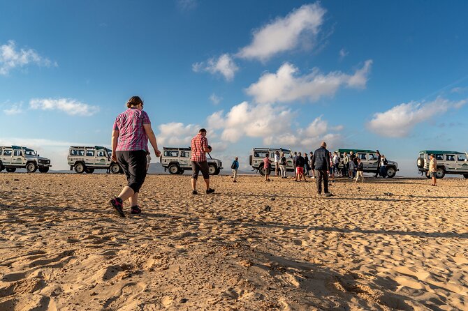 Jeep Tour to Cotillo and Northern Area of Fuerteventura - Tour Overview