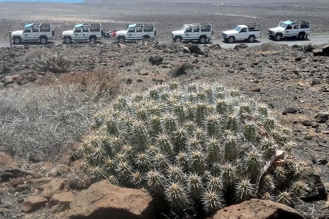 Jeep Tour to Cotillo and Northern Area of Fuerteventura - Castillo De El Toston