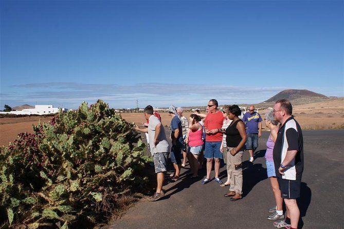Jeep Tour to Cotillo and Northern Area of Fuerteventura - Tour Details
