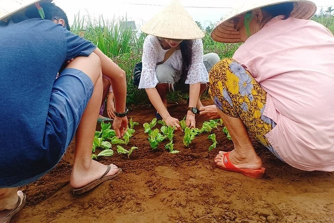 Jeep Tour to Hoi An Countryside Review - Booking Details