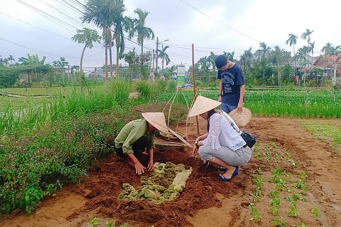 Jeep Tour to Hoi An Countryside Review - Recap