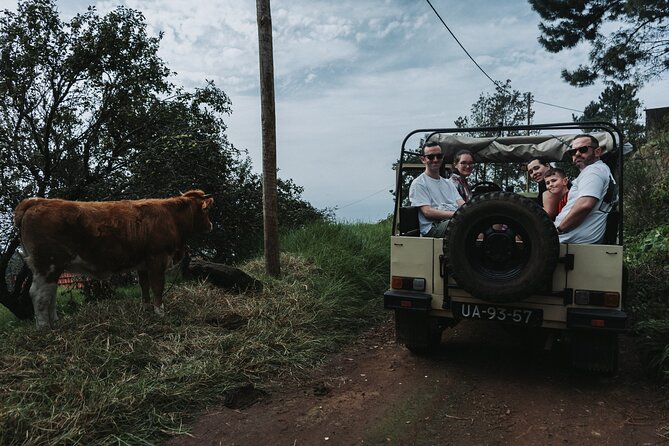 Jeep Tour to Northwest (Ponta De Sol, Porto Moniz, Seixal) - Discovering Porto Moniz