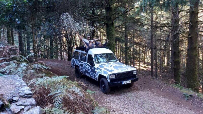 Jeep Tour With Madeira Wine Tasting . - Key Points