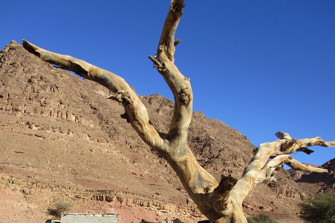 Jeep Tours Through the Sinai Desert - The Sinai Desert Landscape