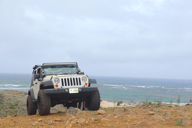 Jeep Wrangler Rental - Customer Feedback: Positive Reviews