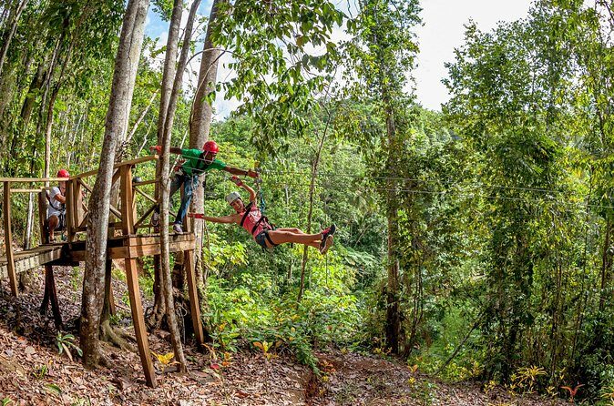 Jeep & Zip Safari St. Lucia From Castries - The Real-World Experience: What Travelers Say