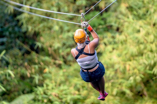 Jeep & Zip Safari St. Lucia From Castries - The Sum Up