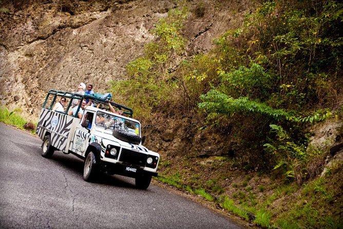 Jeep & Zip Safari St. Lucia From Castries - About Your Stay