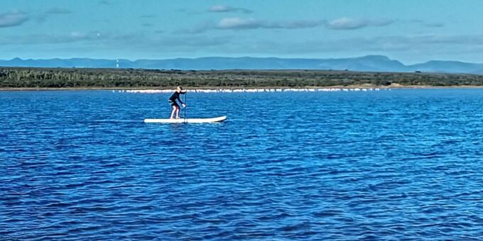 Jeffreys Bay: Stand Up Paddle Boarding - Pricing and Cancellation