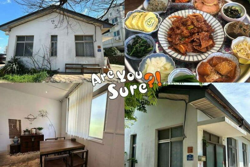 Jeju: BTS Are You Sure?! Filming Locations Private Taxi Tour - What to Expect During the Tour