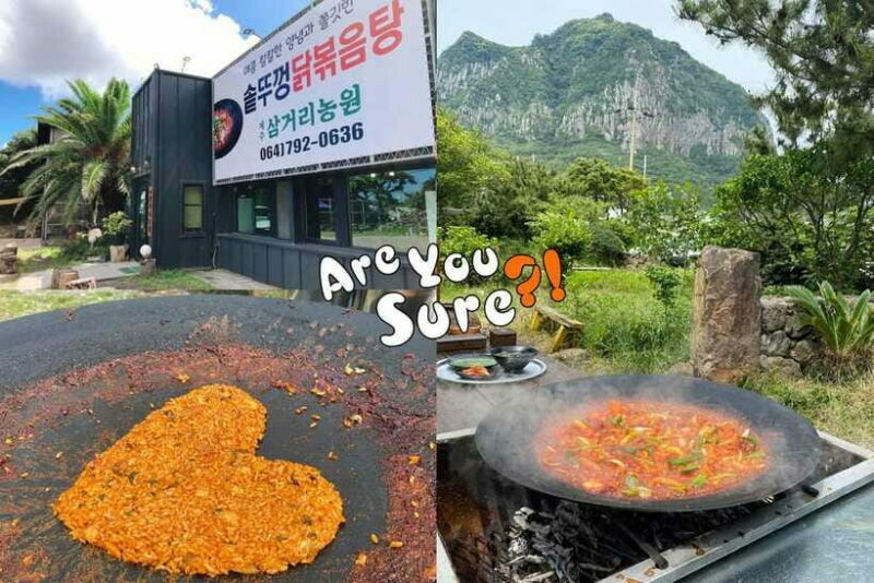 Jeju: BTS Are You Sure?! Filming Locations Private Taxi Tour - Practical Tips for Booking and Enjoying