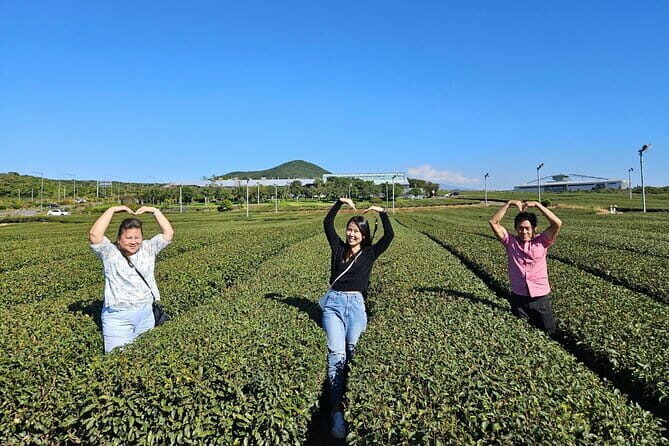 Jeju Customize Private VAN Tour of East or West or South (~8pax) - An In-Depth Look at Your Day on Jeju