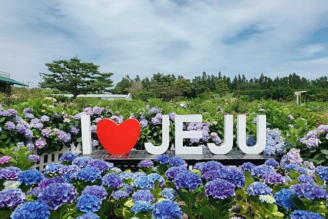 Jeju Day Tour for Cruise Guests - The Sum Up: Is It Worth It?