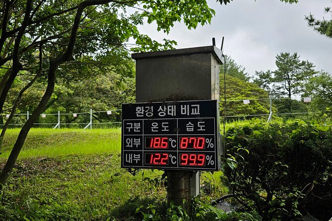 Jeju Day Tour - World Heritage & UNESCO - Itinerary From Seogwipo