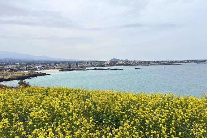 Jeju Eastern Must Visit Unesco Bus Tour - Accessibility and Requirements