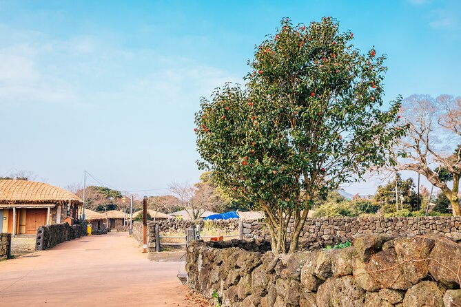 Jeju Eastern Must Visit Unesco Bus Tour - Tips for Participants