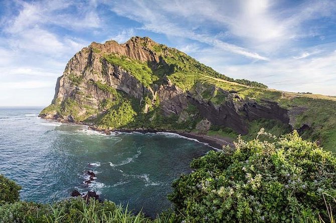 Jeju: Fully Customizable Private Tour - Exceptional Customer Satisfaction and Feedback