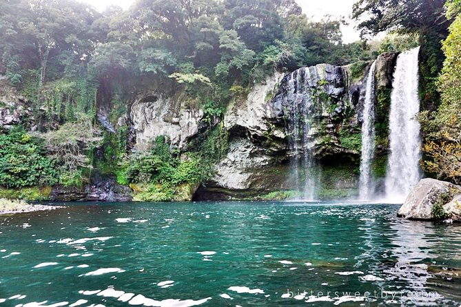 Jeju: Fully Customizable Private Tour - Delightful Culinary Experiences in Jeju