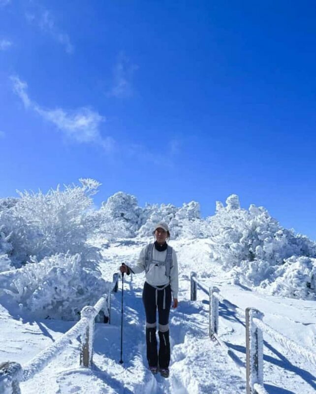 Jeju: HALLASAN National Park Guided Snow Climb (5hr_w/Gear) - Key Points