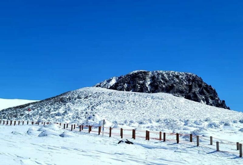 Jeju: HALLASAN National Park Guided Snow Climb (5hr_w/Gear) - An Introduction to the Tour