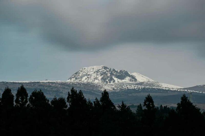 Jeju: HALLASAN National Park Guided Snow Climb (5hr_w/Gear) - An Authentic Experience with Good Value