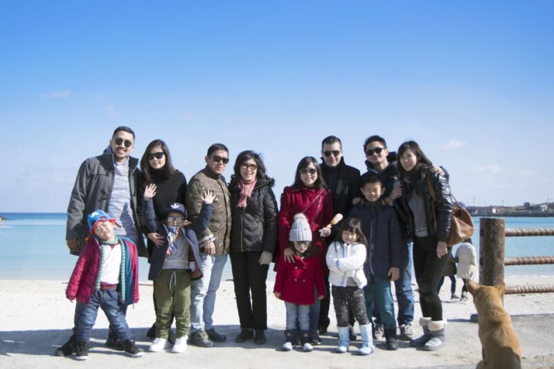 Jeju Island: Customized Private Full-Day Van Tour - Scenic Highlights