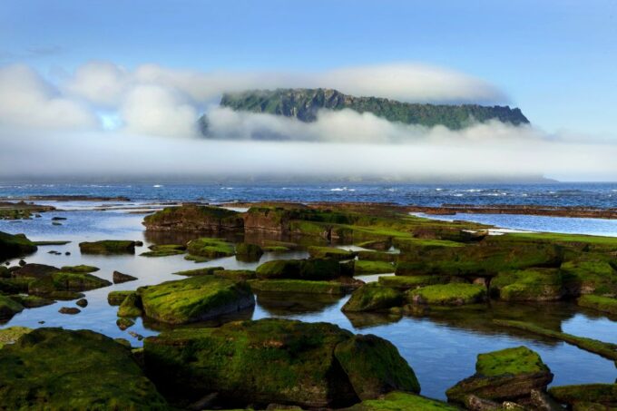 Jeju Island: Customized Private Full-Day Van Tour - Positive Customer Feedback