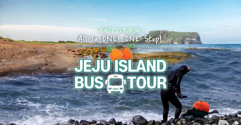 Jeju Island: Full-Day East Jeju Bus Tour With Local Lunch - Inclusions