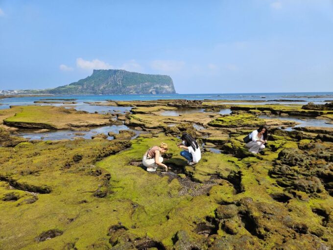 Jeju Island: Full-Day East Jeju Bus Tour With Local Lunch - Available Drop-off Locations