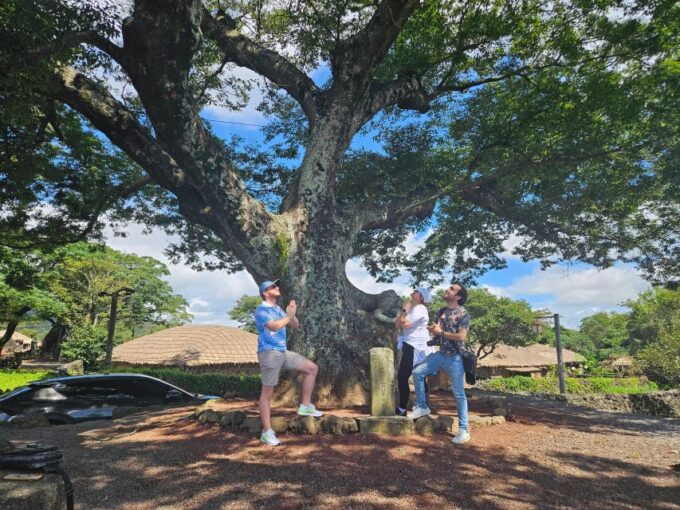 Jeju Island: Full-Day East Jeju Bus Tour With Local Lunch - Recap