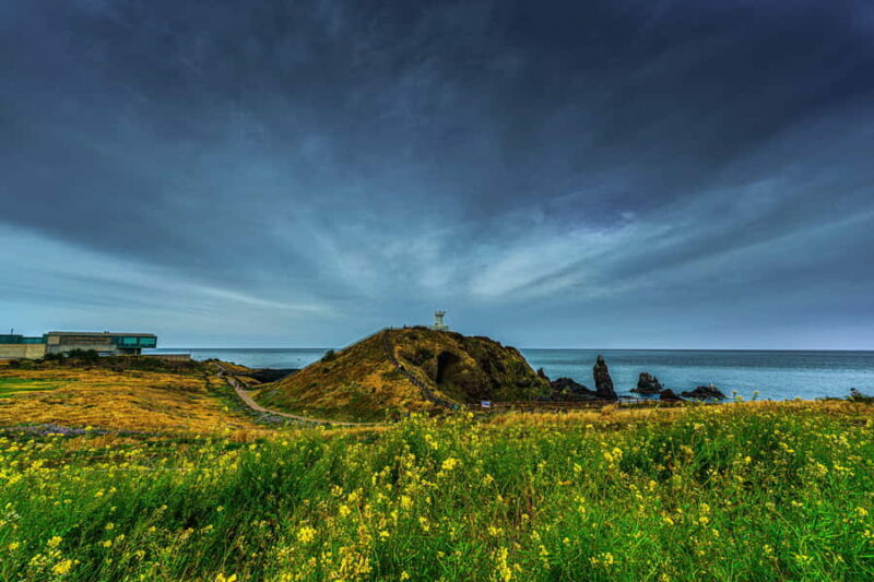 Jeju Island: Full Day Tour for Cruise Ship Passengers - FAQ