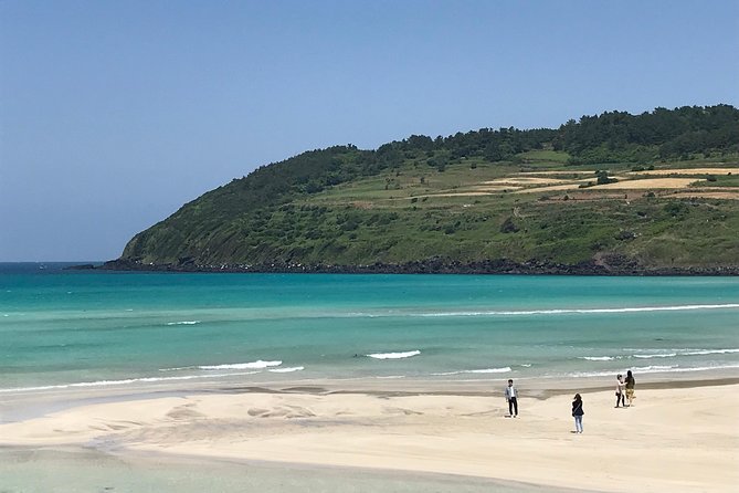 Jeju Island Guided Tour for 9 Hours With a Van - Seopjikoji