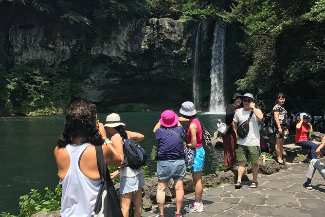 Jeju Island Guided Tour for 9 Hours With a Van - Traveler Reviews and Ratings