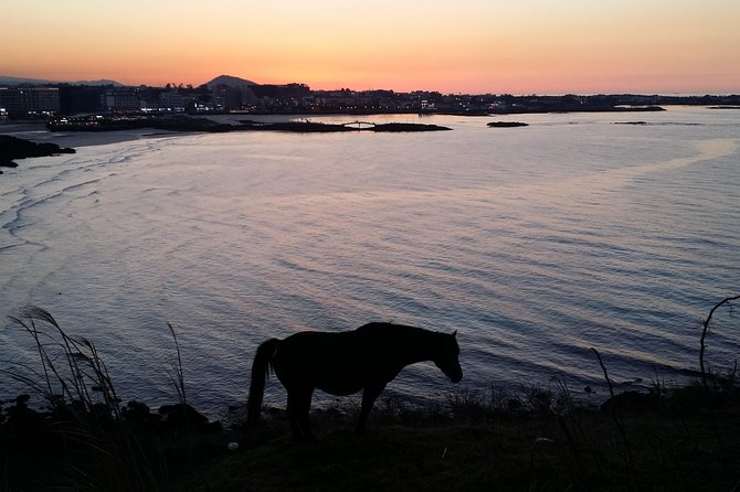Jeju Island Guided Tour for 9 Hours With a Van - Tour Accessibility and Requirements
