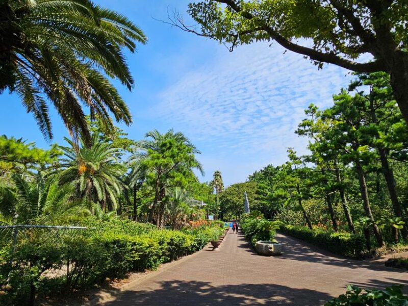 Jeju Island: Highlights Tour With Attraction Tickets & Lunch - Cheonjeyeon Waterfall Adventure